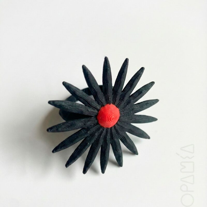 Anillo